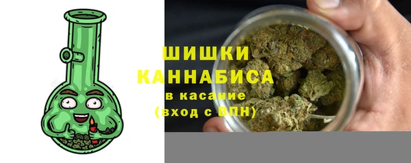 СК Белокуриха