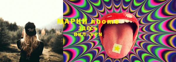 СК Белокуриха